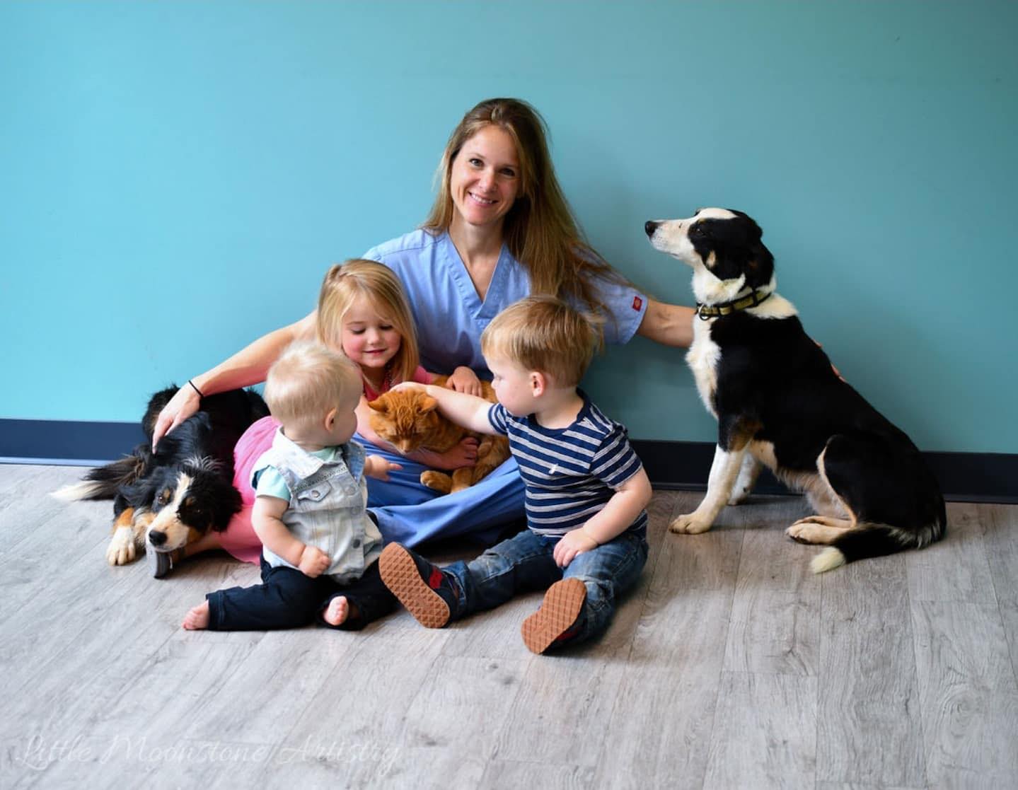Dr. Mindy Price, DVM