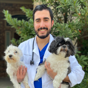 Dr. Gerardo Navas, DVM